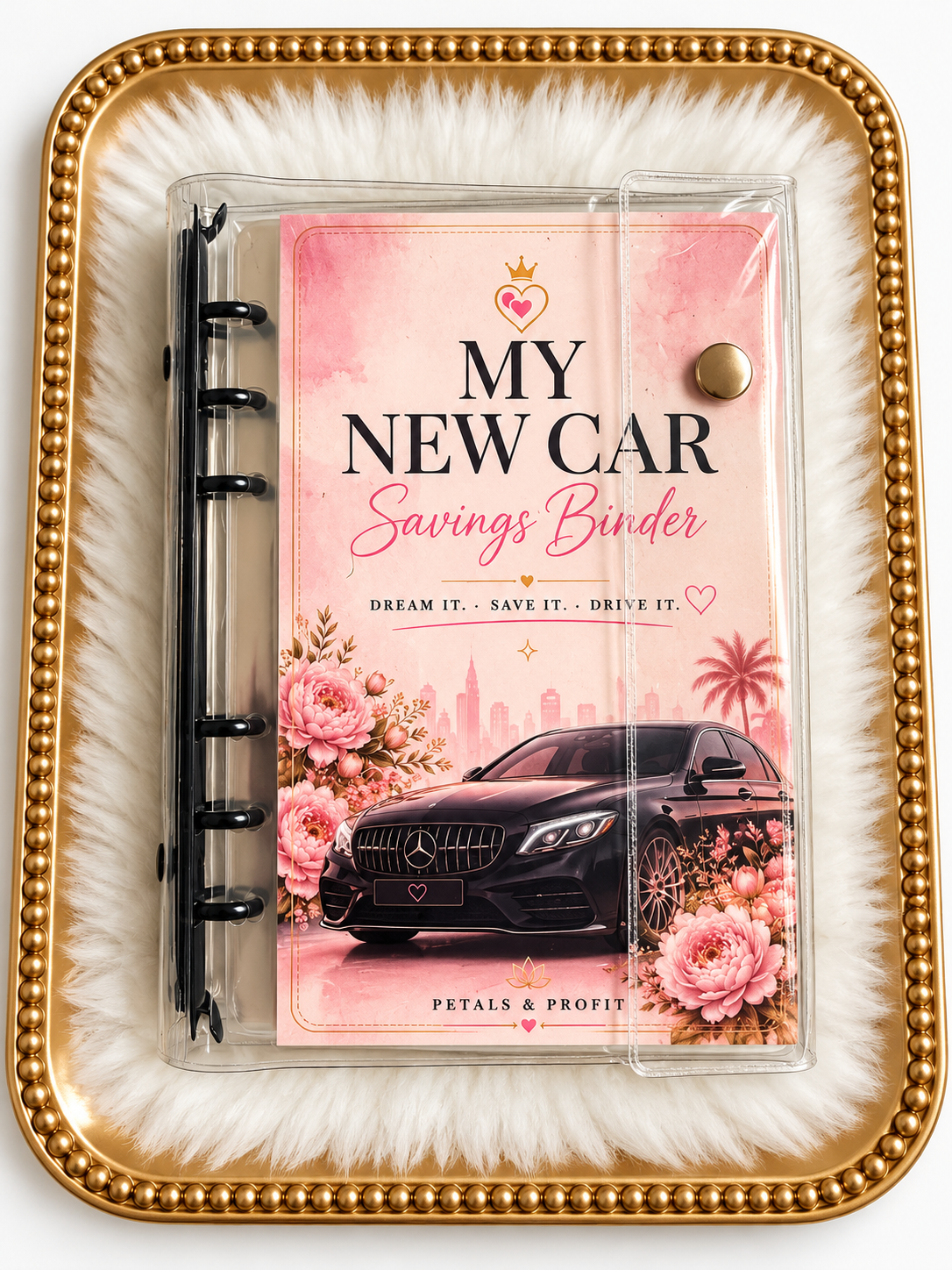 My New Car Savings Binder 🚗💕