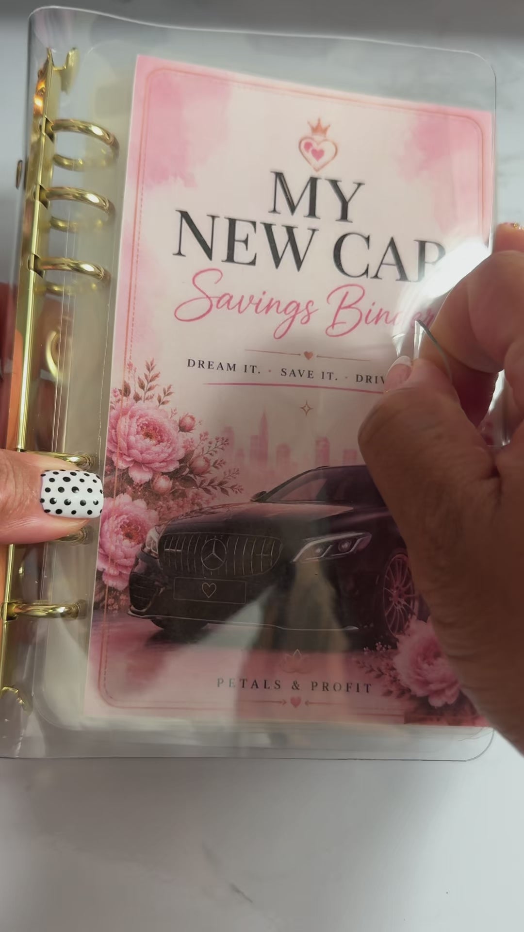 My New Car Savings Binder 🚗💕